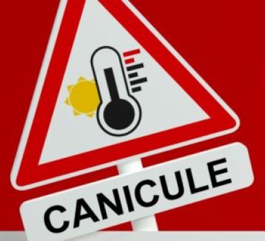 canicule