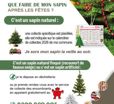 Collecte des sapins 2026 - TRI-OR