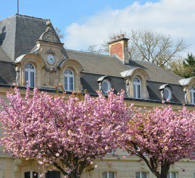 Mairie en fleurs (bandeau)