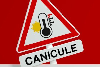 canicule