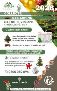 Collecte des sapins 2026 - TRI-OR