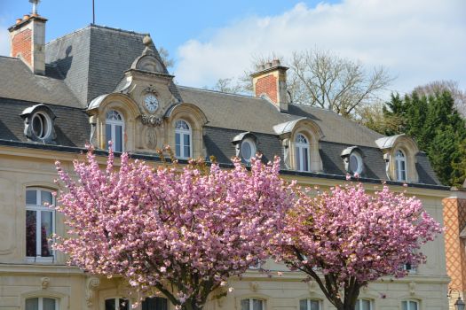 Mairie en fleurs (bandeau)