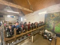 Séjour à la ferme