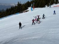 Accueils de loisirs, séjour hiver 26