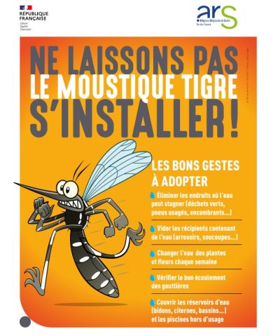 Moustique tigre ARS
