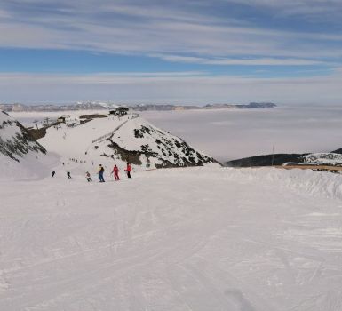 adl ski 2023